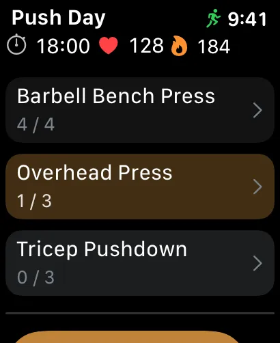 Apple Watch Companion